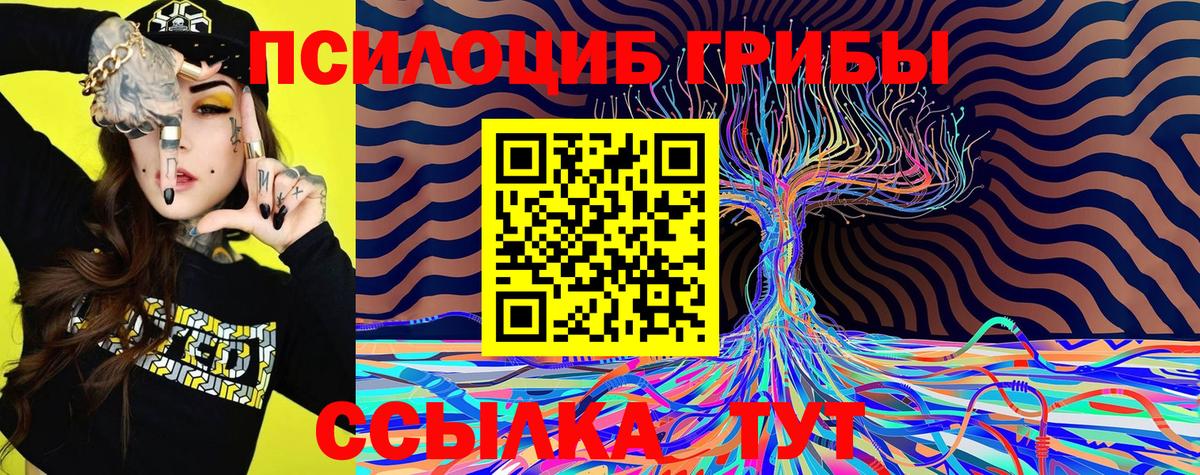 Галлюциногенные грибы Psilocybe Валуйки